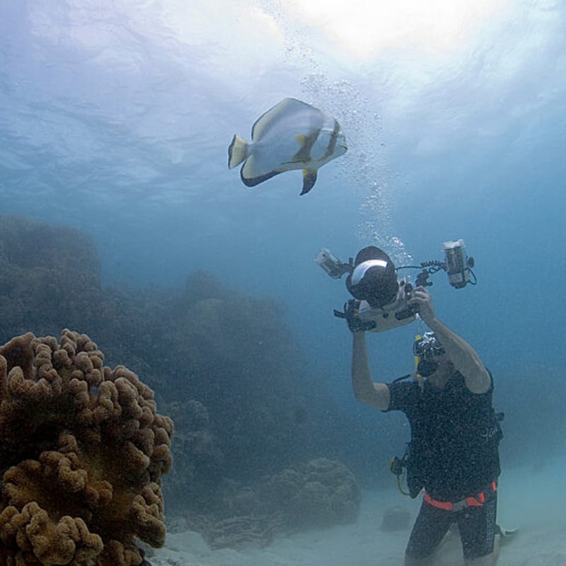 man with underwater camera photographing a fish